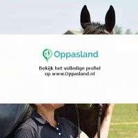 Marinde zoekt een oppas in Arnhem voor 2 kinderen. beschikbaar voor biedingen