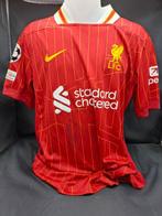 Liverpool FC - UEFA Champions League - Joe Gomez - 2024 -, Nieuw