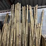 Outlet - Bamboepalen naturel (diverse formaten) - 300 cm, Verzenden, Nieuw