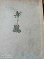 C. Netto und G. Wagener - Japanischer Humor - 1901-1901