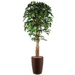 Ficus kunstplant, H210cm, Huis en Inrichting, Kamerplanten, Ophalen of Verzenden