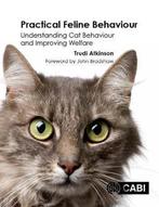 9781780647838 Practical Feline Behaviour, Boeken, Verzenden, Nieuw, Trudi Atkinson