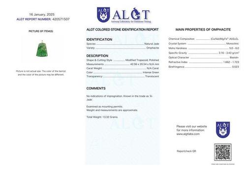 ALGT Gecertificeerd - Grote Ong behandelde Jade Hangertje, Verzamelen, Mineralen en Fossielen