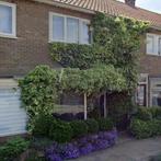 Woning te huur in Arnhem - 80 m² - 2 kamer(s) - 2 kamers, Huizen en Kamers, Huizen te huur, Overige soorten, Arnhem, Gelderland