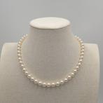 Zonder Minimumprijs - Halsketting Zilver Parel - Akoya 8.0mm, Sieraden, Tassen en Uiterlijk, Kettingen, Nieuw