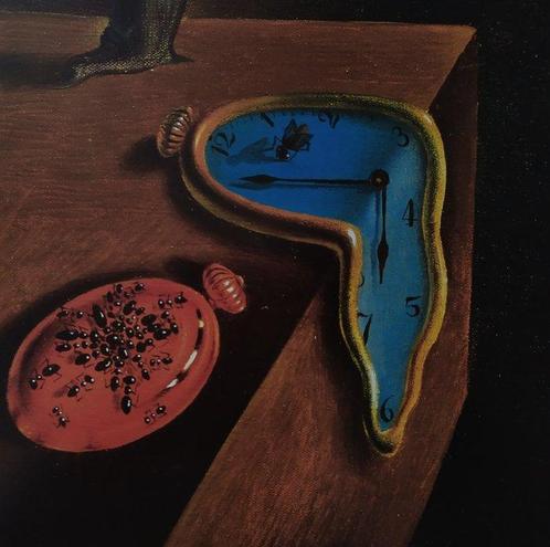 Salvador Dalí (1904-1989) (after) - The Persistence of, Antiek en Kunst, Kunst | Tekeningen en Foto's