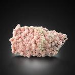 Uitstekend rhodochrosiet met kwarts, stilbiet en, Verzamelen