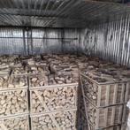 Mooi gedroogd Essen haardhout., 6 m³ of meer, Essenhout, Blokken
