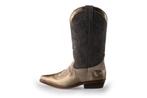 DWRS Cowboy laarzen in maat 36 Bruin | 10% extra korting, Kleding | Dames, Schoenen, DWRS, Bruin, Verzenden, Zo goed als nieuw