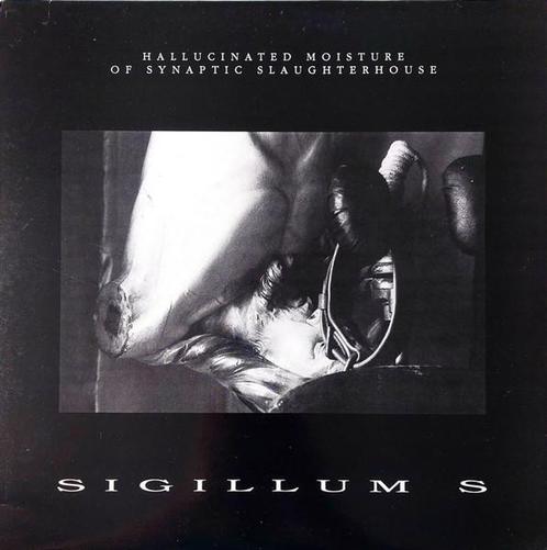 LP gebruikt - Sigillum S - Hallucinated Moisture Of Synap..., Cd's en Dvd's, Vinyl | Rock, Zo goed als nieuw, Verzenden