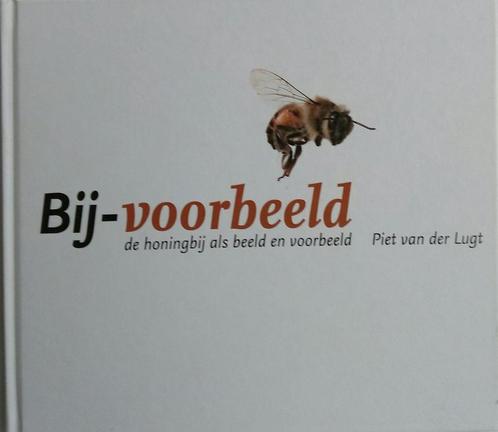 BIJ VOORBEELD 9789079895021 P. van der Lugt, Boeken, Hobby en Vrije tijd, Zo goed als nieuw, Verzenden