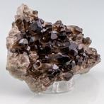 GLIMMEND! Zwart rokerig KWARTS uit Arkansas Kristalcluster -, Verzamelen, Mineralen en Fossielen