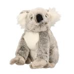 Pluche knuffel koala 25 cm - Knuffel koala, Nieuw, Ophalen of Verzenden