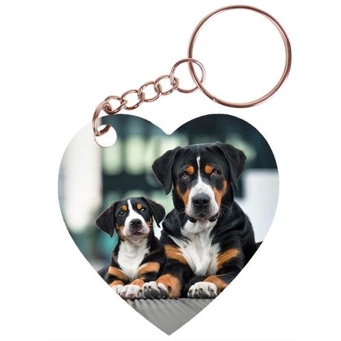 Sleutelhanger hartje 5x5cm - Grote Zwitserse Sennenhond met, Verzamelen, Sleutelhangers, Nieuw, Ophalen of Verzenden