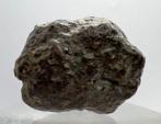 Meteoriet NWA 869 - CHONDRIET L3-6 - 45 g