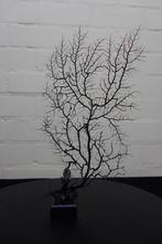 Fine Gorgonian Sea Fan / zeewaaier op houten sokkel