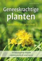 9789044767599 Geneeskrachtige planten herkennen en gebruiken, Verzenden, Nieuw, Katrin Hecker