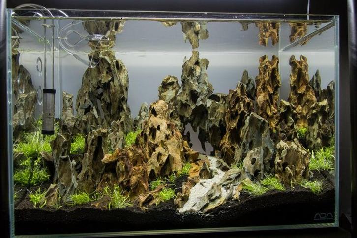 Dragon stone 30-50cm - aquarium decoratie stenen, Dieren en Toebehoren, Vissen | Aquaria en Toebehoren, Plant(en), Steen of Hout