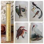 Von Siebold/Joseph Wolf - Fauna Japonica-Aves [Atlas of, Antiek en Kunst