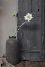 Zijden Scabiosa tak 2-bloemig white green 71 cm, Ophalen of Verzenden, Nieuw