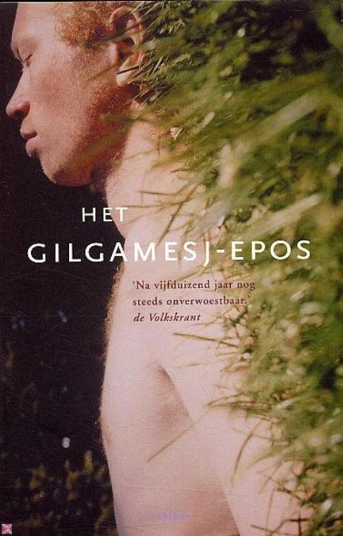 Het Gilgamesj-epos / Ambo-klassiek 9789026319341, Boeken, Romans, Zo goed als nieuw, Verzenden