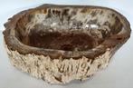 Waskom - Versteend hout - wasbak, Antiek en Kunst, Curiosa en Brocante