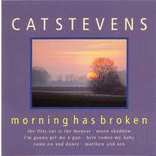Cd - Cat Stevens - Morning Has Broken, Cd's en Dvd's, Cd's | Overige Cd's, Verzenden