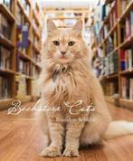Bookstore cats | 9781943876525 | SCHULTZ,  Brandon, Boeken, Zo goed als nieuw, SCHULTZ,  Brandon