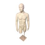 *TIP*  Gebruikte torso man 3/4 model met hoofd van glasvezel, Ophalen of Verzenden