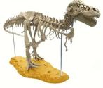 Bouwpakket - T-REX Tyrannosaurus replika