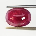 Robijn - 10.32 ct - Lotus Gemology, Nieuw