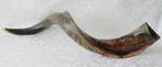 Jemenitische Shofar Medium (kosher), Nieuw