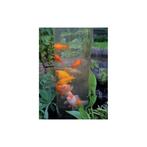Ubbink FishTower 50 cm hoog, Ophalen of Verzenden, Nieuw