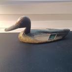 Lokeend - Pato de Agua - Hout, Antiek en Kunst, Curiosa en Brocante