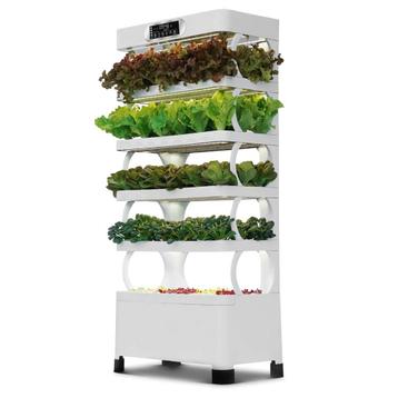 Verticale hydrocultuurtoren 170 cm met LED-groeilampen beschikbaar voor biedingen
