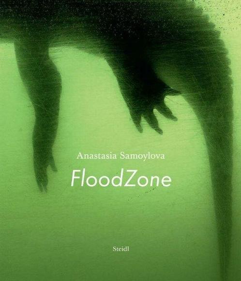 9783958296336 Anastasia Samoylova: FloodZone, Boeken, Studieboeken en Cursussen, Nieuw, Verzenden