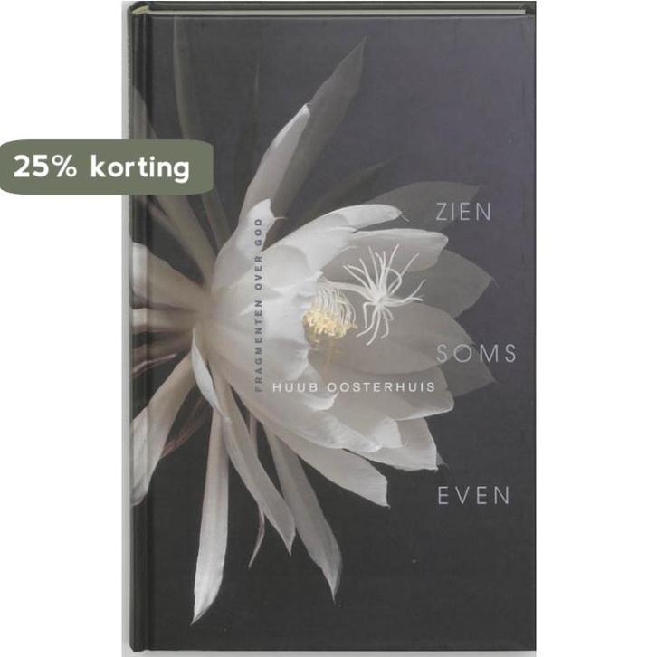 Zien soms even 9789025954659 Huub Oosterhuis, Boeken, Romans, Gelezen, Verzenden