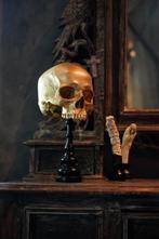NO RESERVE PRICE - Stunning Replica Of Upper Human Skull on, Antiek en Kunst