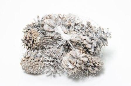 Dennenappels Oostenrijkers Blue Pine Frosted 15 stuks, Hobby en Vrije tijd, Knutselen, Nieuw, Ophalen of Verzenden