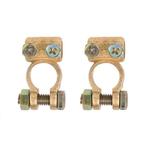 ProPlus Accupoolklemmen set - messing - staal - 35-50 mm².., Ophalen of Verzenden, Nieuw