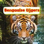 9789463416221 Dieren in gevaar! - Bengaalse tijgers, Verzenden, Nieuw, Nancy Dickmann