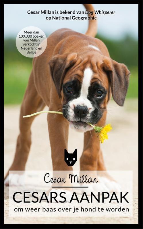Cesars aanpak 9789044351064 Melissa Jo Peltier, Boeken, Hobby en Vrije tijd, Gelezen, Verzenden