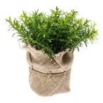 Kunstplantjes tijm kruiden groen in jute pot 16 cm  - Over.., Huis en Inrichting, Kamerplanten, Ophalen of Verzenden