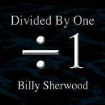 cd - Billy Sherwood - Divided By One, Cd's en Dvd's, Verzenden, Nieuw in verpakking