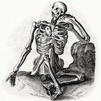 Michael Snijders / Gillis van Schoor / Herman Hugo - The, Antiek en Kunst