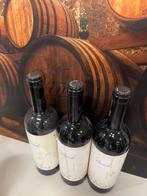 2018 Massolino - Barolo - 3 Flessen (0.75 liter), Nieuw