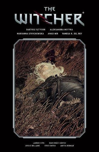 The Witcher Library Edition Volume 2, Boeken, Studieboeken en Cursussen, Verzenden