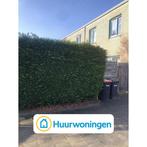 Te huur: Appartement Reischaaf in Zaandam, Noord-Holland, Zaandam, Appartement