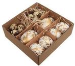 Eieren met decoratie wit goud 6 kippen kwarteleieren, Ophalen of Verzenden, Nieuw