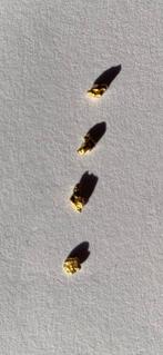 Goud Goud nugget- 0.34 g - (4)